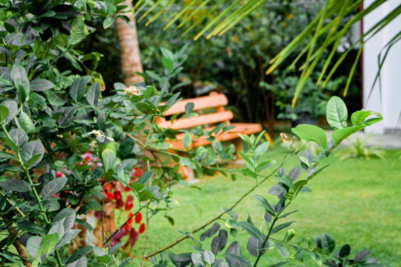 Manike Lodge Habarana Extérieur photo